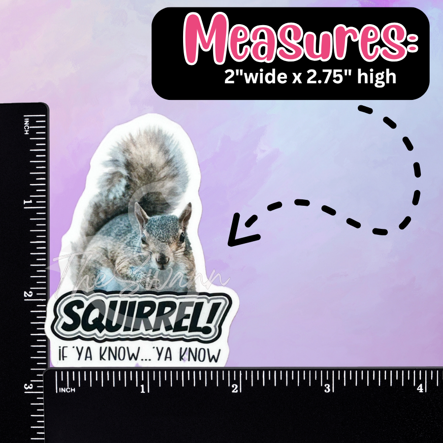 Squirrel! Sticker | Vinyl Waterproof Sticker | Funny Sticker